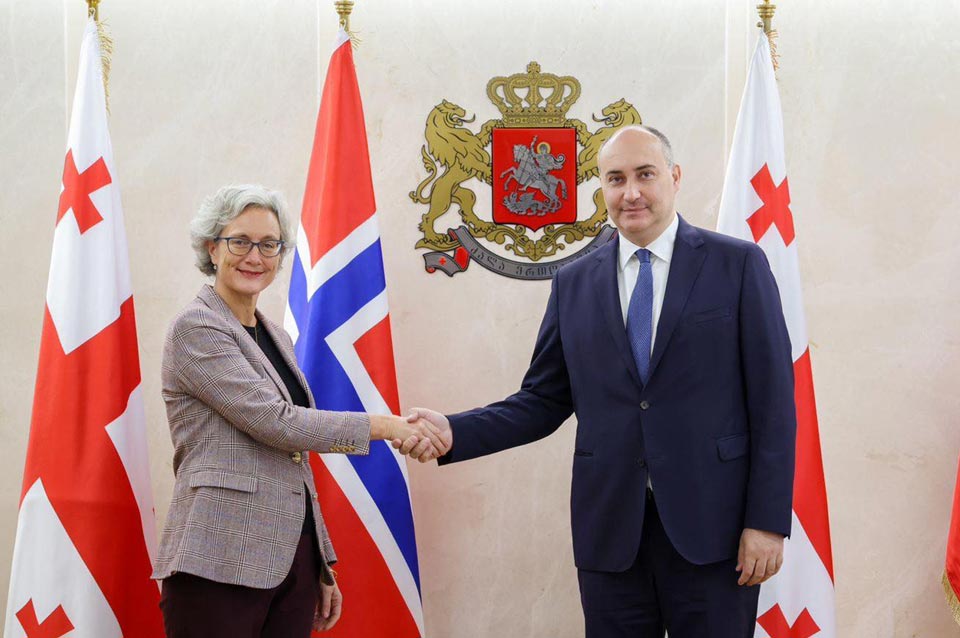 Defence Minister meets Norwegian Ambassador