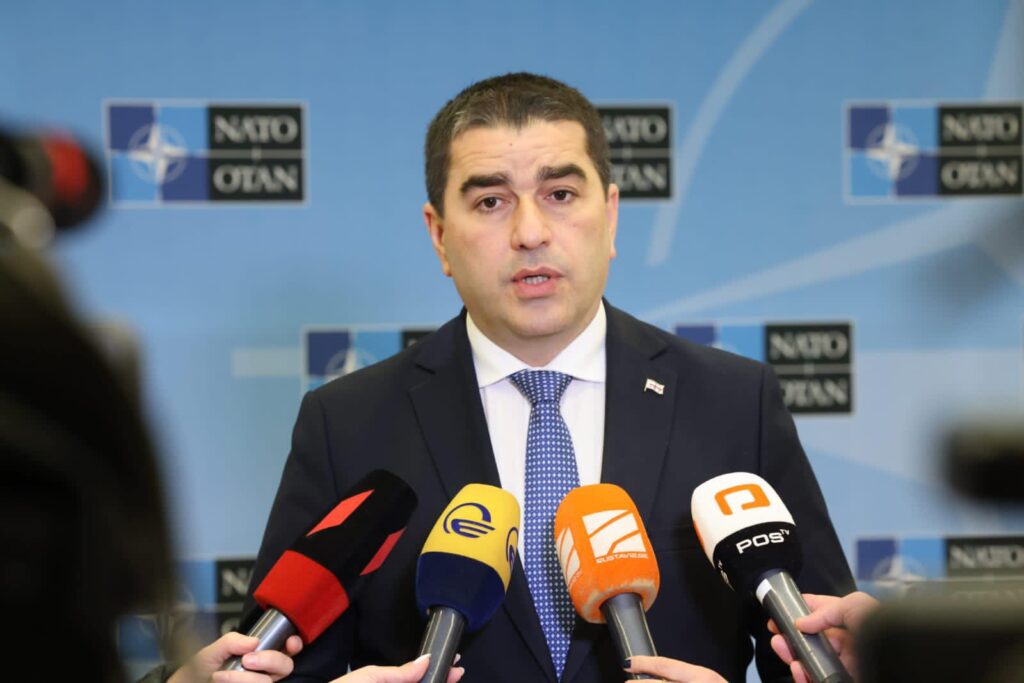 При участии Шалвы Папуашвили в Брюсселе пройдет заседание комиссии НАТО-Грузия