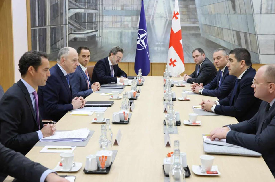 Speaker Papuashvili meets NATO Deputy Secretary General