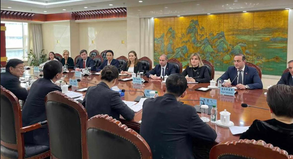 Parliamentary delegation meets Vice Minister of Education of China