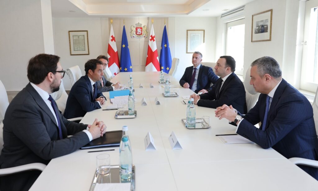 Georgian PM meets NATO Special Representative