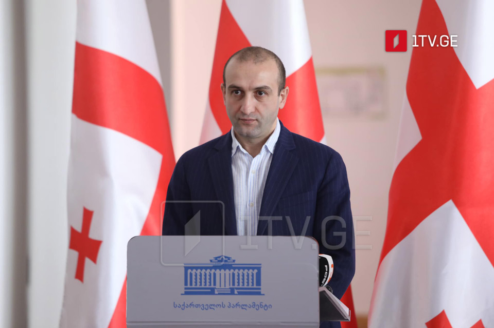 Girchi disagrees with 80% of clauses in President's Georgian Charter, says context is vague