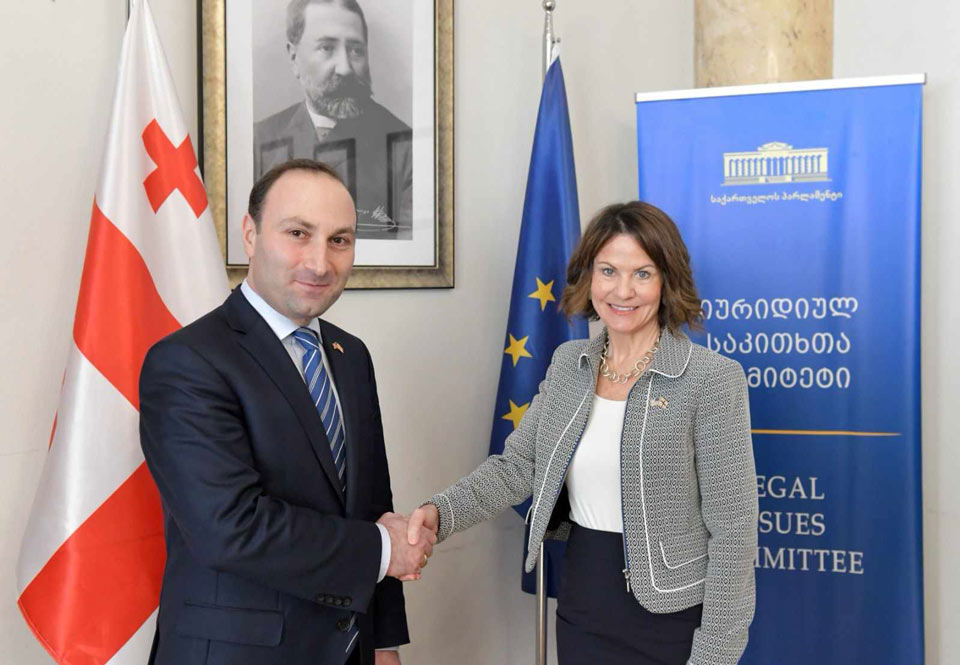 Анри Оханашвили встретился с послом США