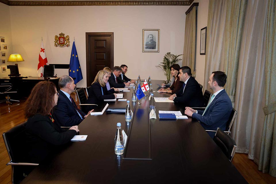 Шалва Папуашвили встретился с главой направления восточного соседства и институционального развития Еврокомиссии