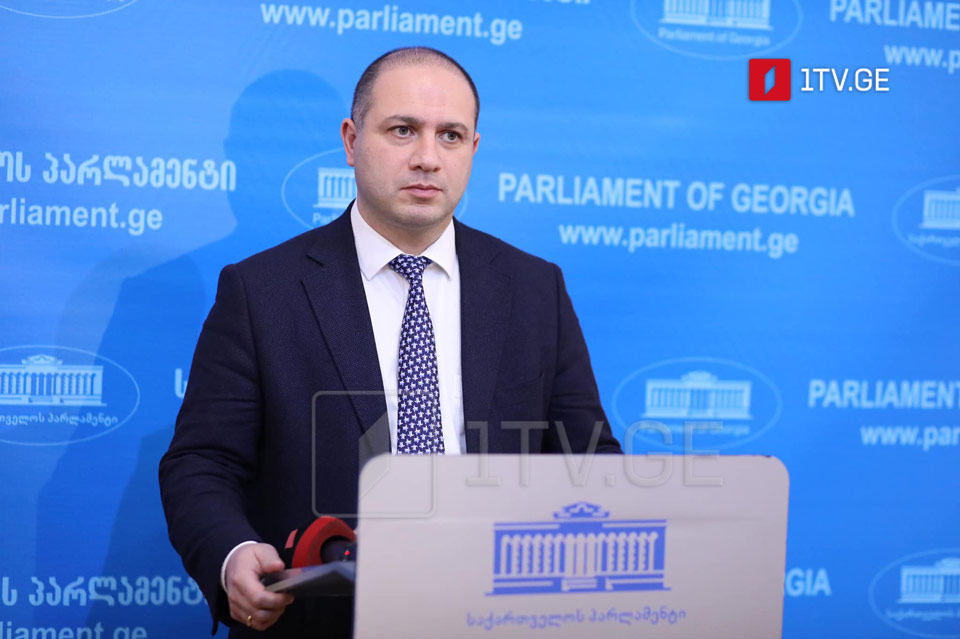 Гиви Миканадзе - Лидером парламентского большинства, предположительно, станет Мамука Мдинарадзе