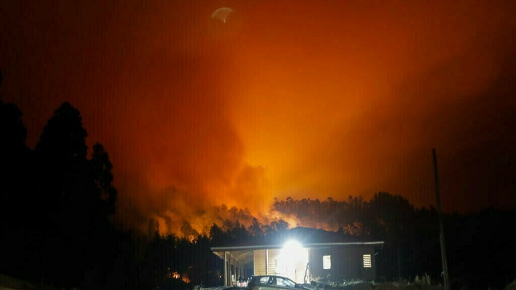 Число погибших в результате лесного пожара в Чили возросло до 112 человек