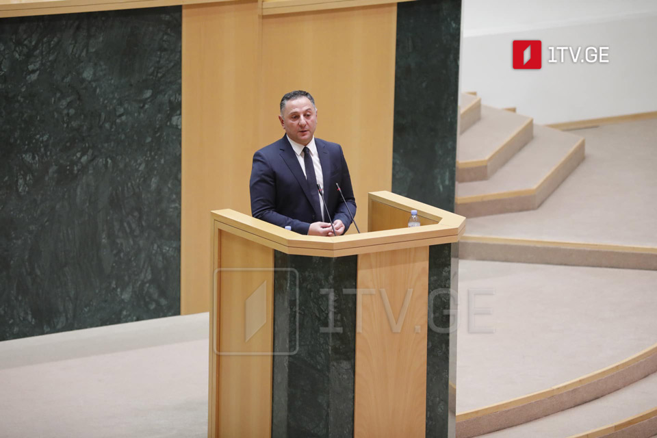 Вахтанг Гомелаури на объединенном заседании комитетов парламента рассказал о реформе криминальной полиции