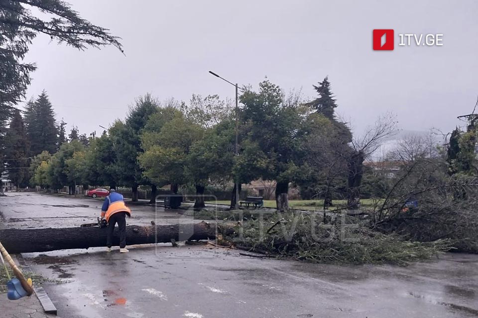 Сильный ветер и наводнение создали проблемы в регионе Самегрело-Земо-Сванети