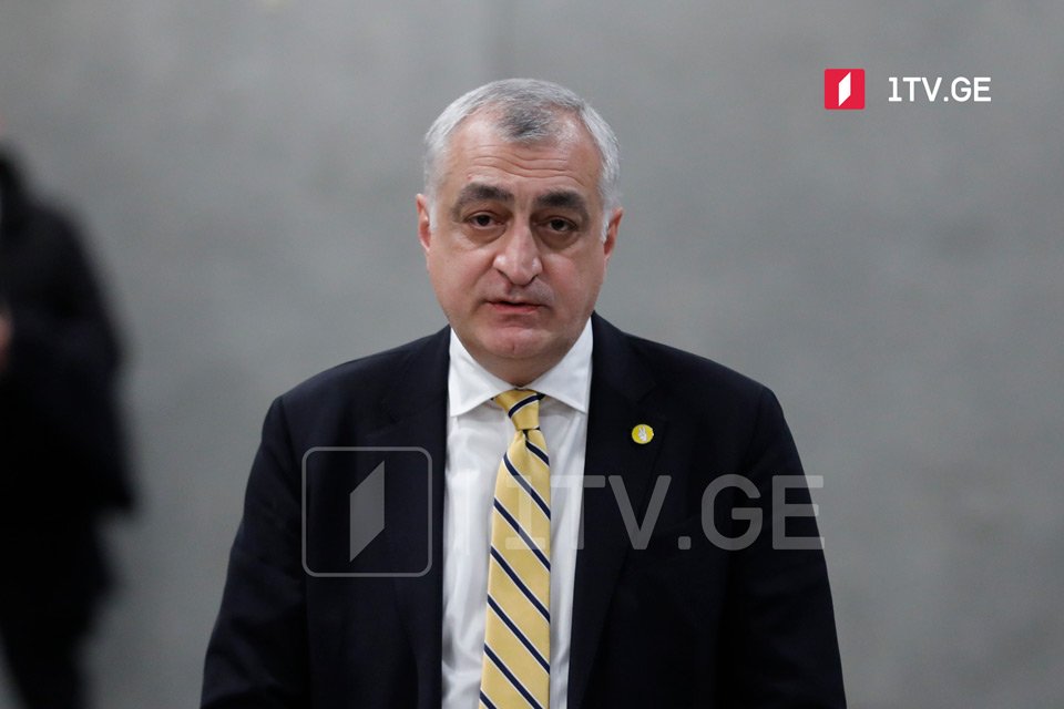 Khazaradze says meeting with Zourabichvili aimed at restoring Resistance Platform