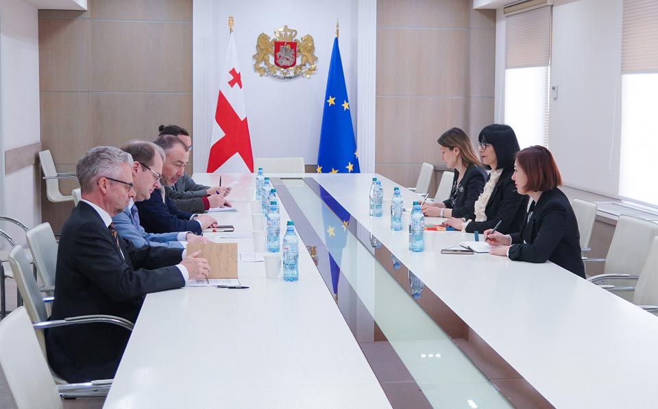 Тея Ахвледиани провела встречу со спецпредставителем ЕС по кризису на Южном Кавказе и в Грузии Тойво Клааром