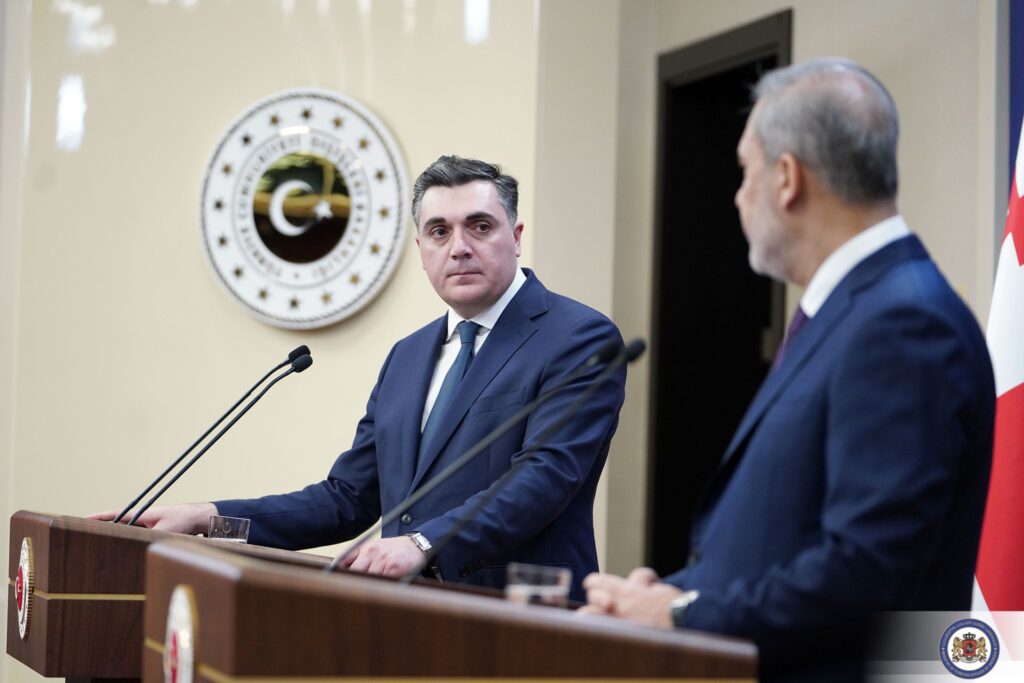 Илья Дарчиашвили - Продолжаем работать над организацией визитов президента Турции в Грузию и премьер-министра Грузии в Турцию