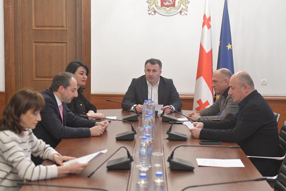 Procedural and Rules Committee supports pre-term MP mandate termination to Irakli Kobakhidze, Irakli Chikovani