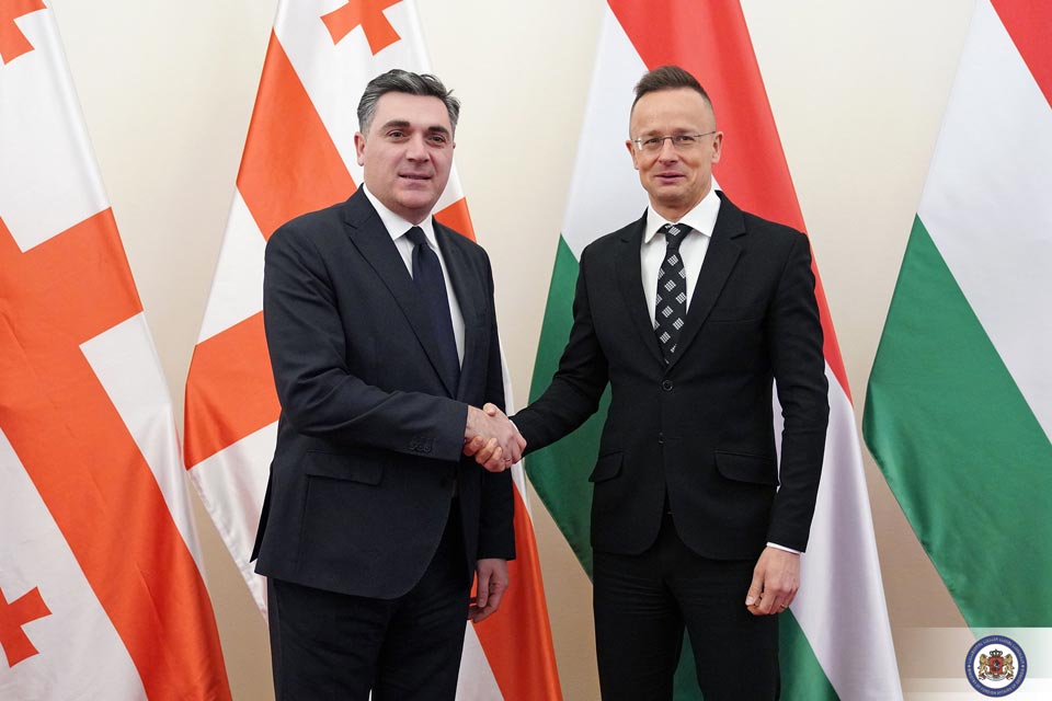 Georgian FM meets Hungarian colleague in Budapest