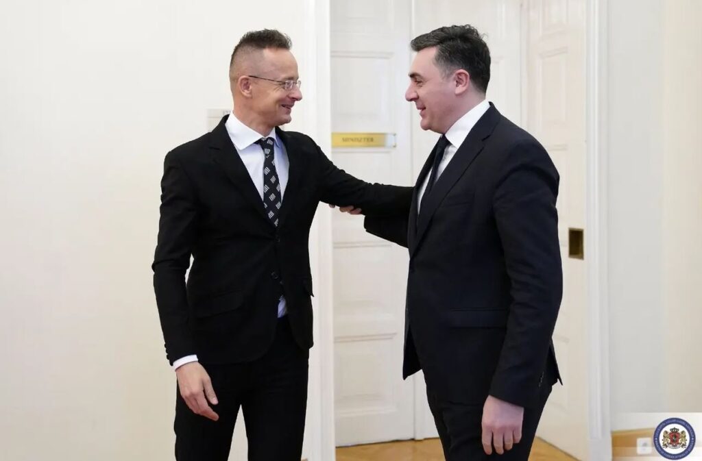 Hungarian FM: Georgia is most valuable partner
