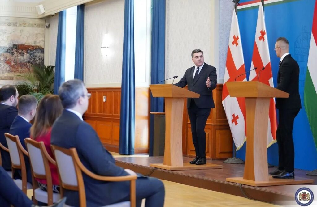 Илья Дарчиашвили - Грузия ценит поддержку и вклад своих венгерских друзей на пути европейской интеграции Грузии
