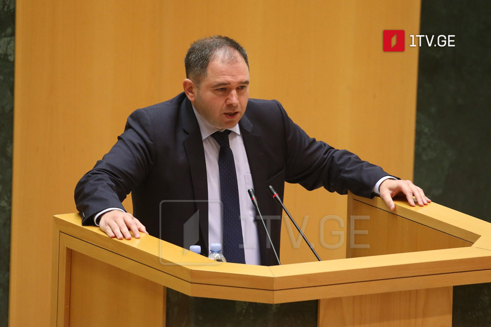 Николоз Самхарадзе - В Европарламенте собирают подписи, чтобы просить Зурабишвили помиловать Саакашвили