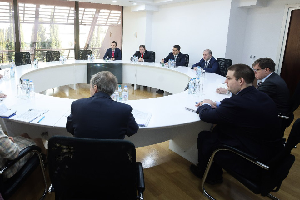 Шалва Папуашвили встретился с представителями Международной предвыборной наблюдательной миссии NDI