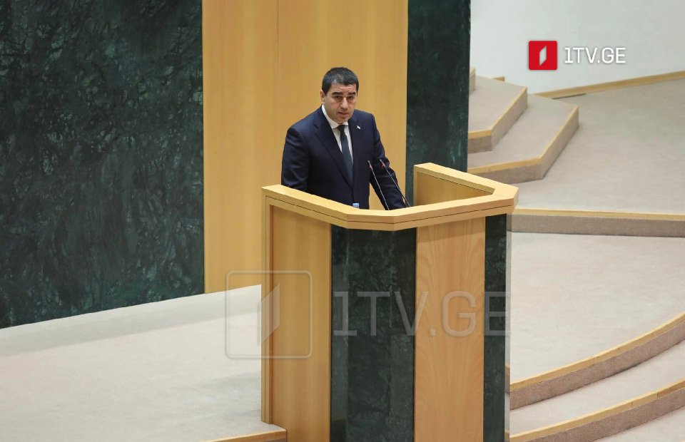 Speaker: Georgian authorities eliminated all threats, including pandemic, war, radicalism