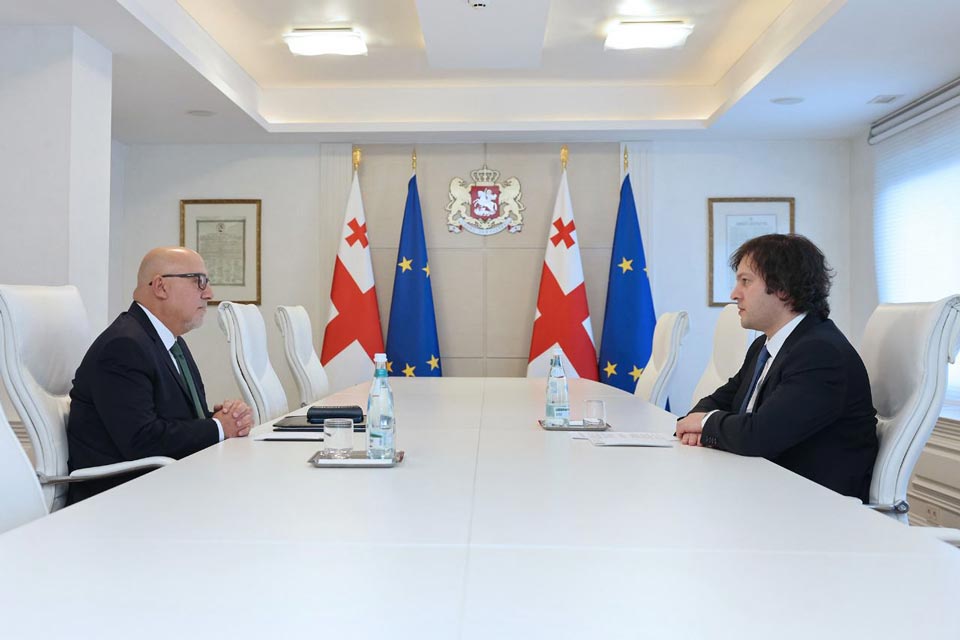 Georgian PM meets Turkish Ambassador
