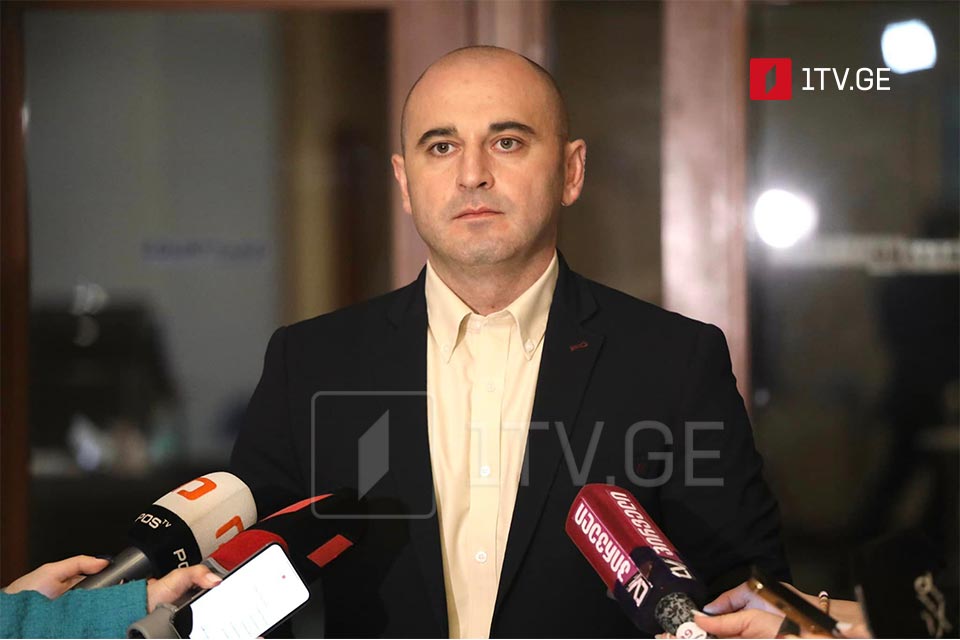 Леван Хабеишвили - Михаил Саакашвили является главным прозападным лидером оппозиции в Грузии