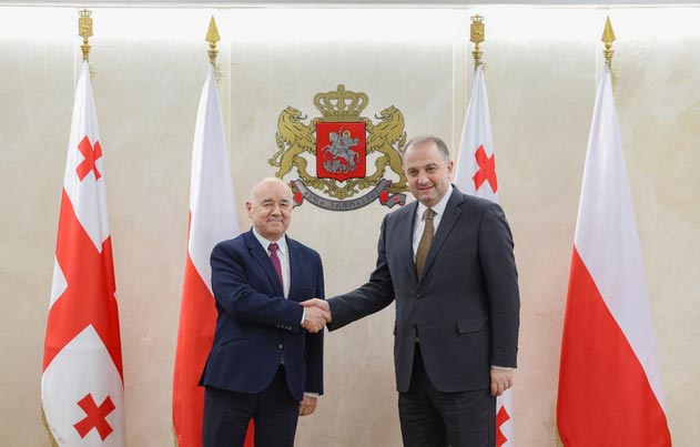 Ираклий Чиковани встретился с послом и военным атташе Польши в Грузии