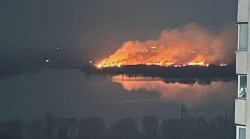 На территории экопарка в Киеве произошел пожар