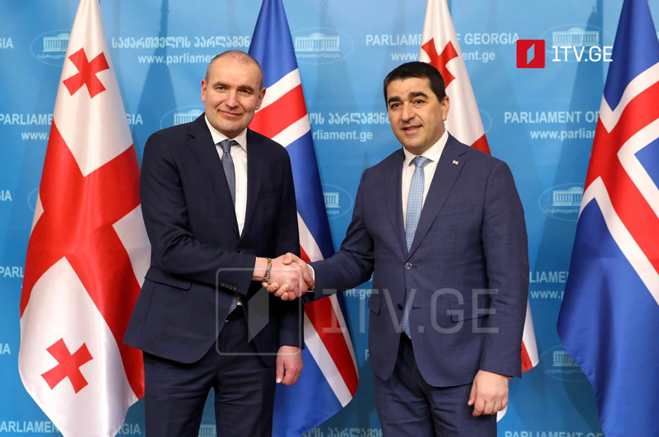 Шалва Папуашвили встретился с президентом Исландии