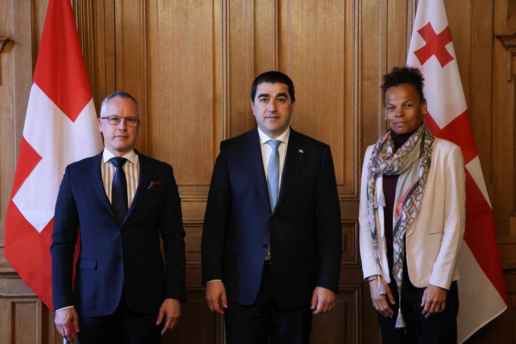 Шалва Папуашвили обсудил с директором Агентства развития и сотрудничества Швейцарии осуществленные в Грузии проекты
