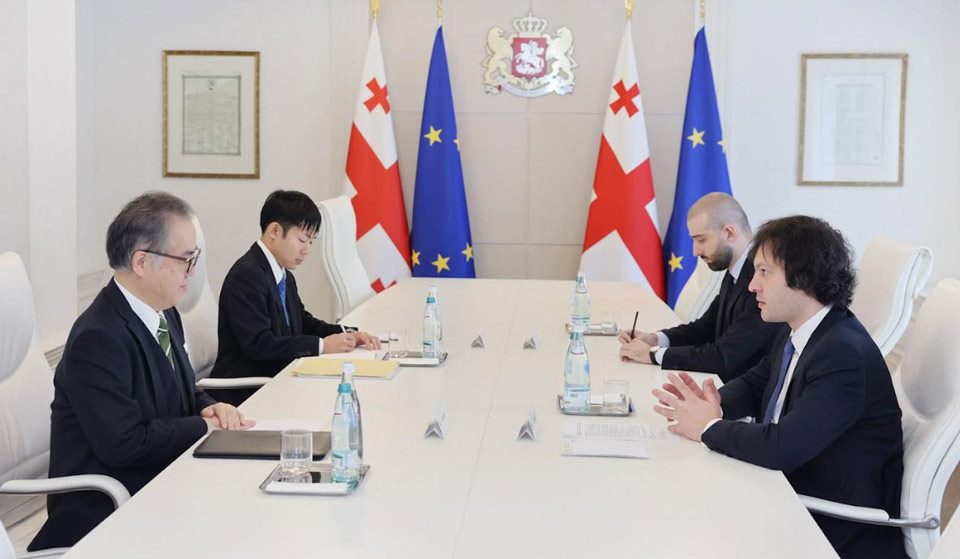 Ираклий Кобахидзе встретился с послом Японии