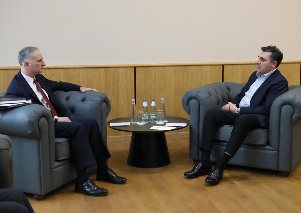 Georgian FM meets Senior Advisor for Caucasus Negotiations