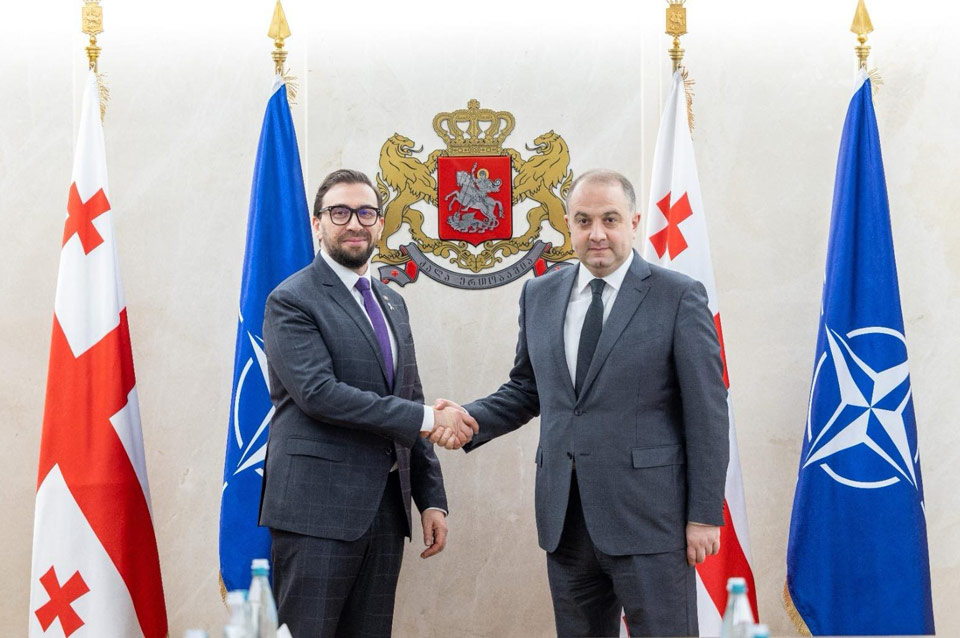 Ираклий Чиковани встретился с главой Офиса связи НАТО и представителями основной группы