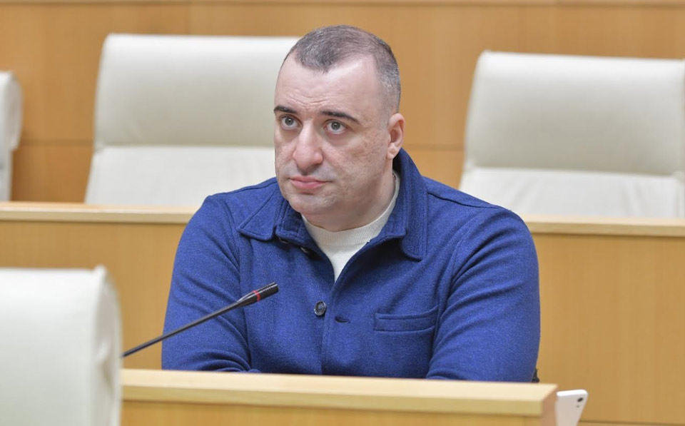 Парламент избрал Рати Ионатамишвили на должность председателя комитета по защите прав человека