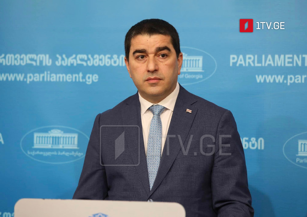 Speaker: NGO sector staffed by former officials of Saakashvili's gov't