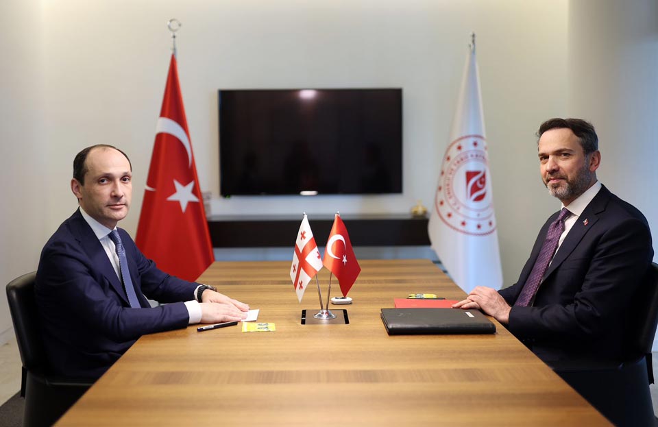 Леван Давиташвили встретился с министром энергетики и природных ресурсов Турции