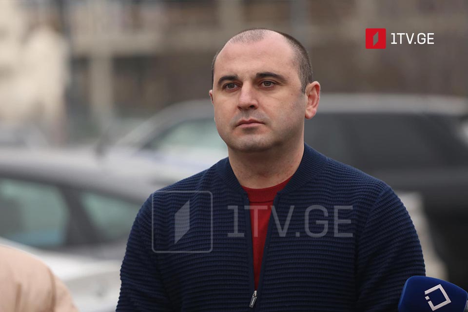 Леван Хабеишвили – Сказать, что я высокого мнения о Зурабишвили, солгу, хотя все внутри страны и за её пределами все должны понимать, что свобода Саакашвили – самое главное