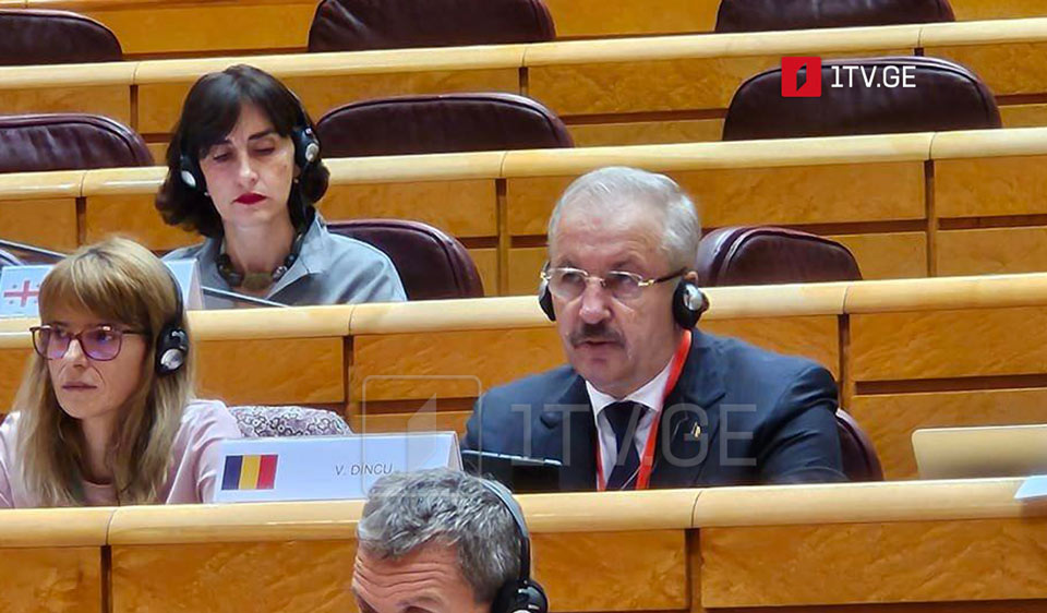 Ռումինիայի Սենատի Եվրոպական հարցերի հանձնաժողովի նախագահ. Վրաստանը եվրոպական քաղաքակրթություն է, և ես կարծում եմ, որ ժամանակն է սկսել ընդլայնման բանակցությունները