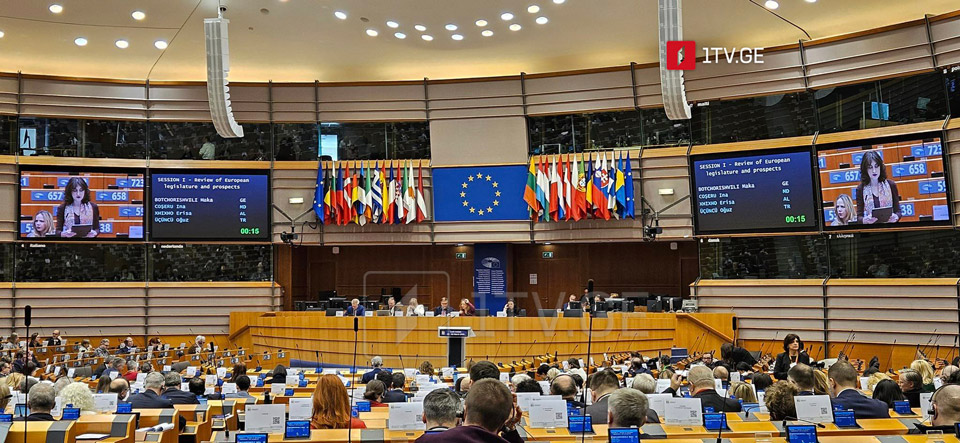 ԵՄ անդամ 27 երկրների ազգային խորհրդարանները փաստաթուղթ են ընդունել, որը ևս մեկ անգամ աջակցություն է հայտնում Վրաստանի՝ ԵՄ-ին անդամակցելու գործընթացին