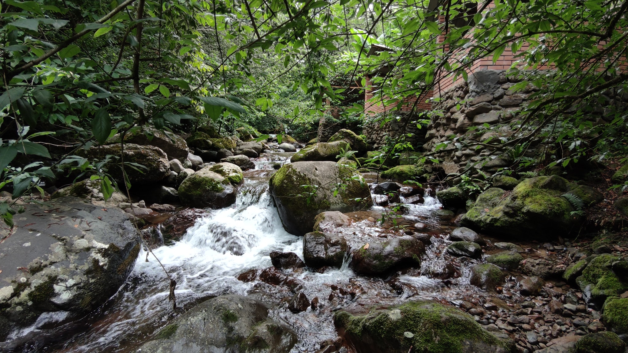 Water quality in 1TV