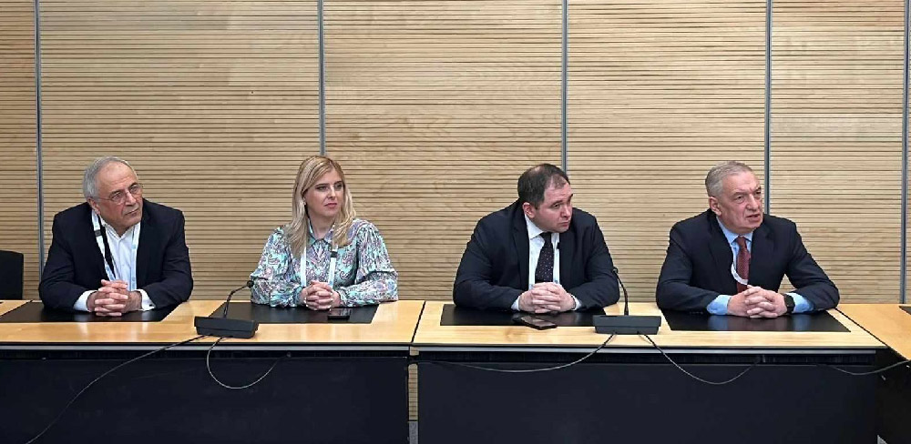 Georgian delegation holds bilateral meetings in Geneva