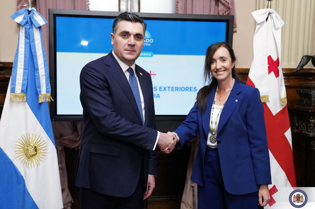 Илья Дарчиашвили встретился с вице-президентом Аргентинской Республики