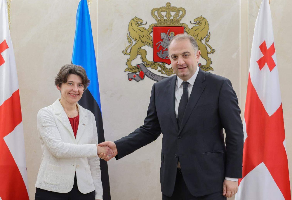 Министр обороны встретился с послом Эстонии в Грузии