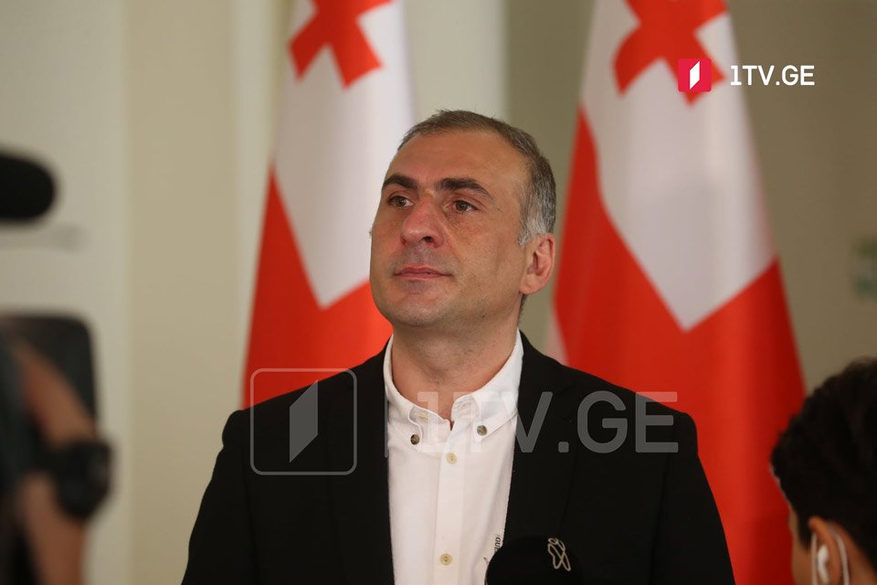 Алеко Элисашвили – «Грузинская мечта» создала несуществующую тему и образ несуществующего врага, такие грубые вмешательства в Конституцию недопустимы