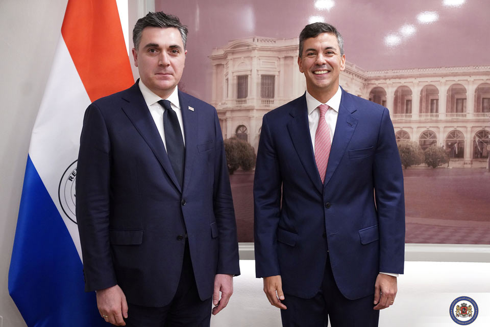 Илья Дарчиашвили встретился с президентом Парагвая