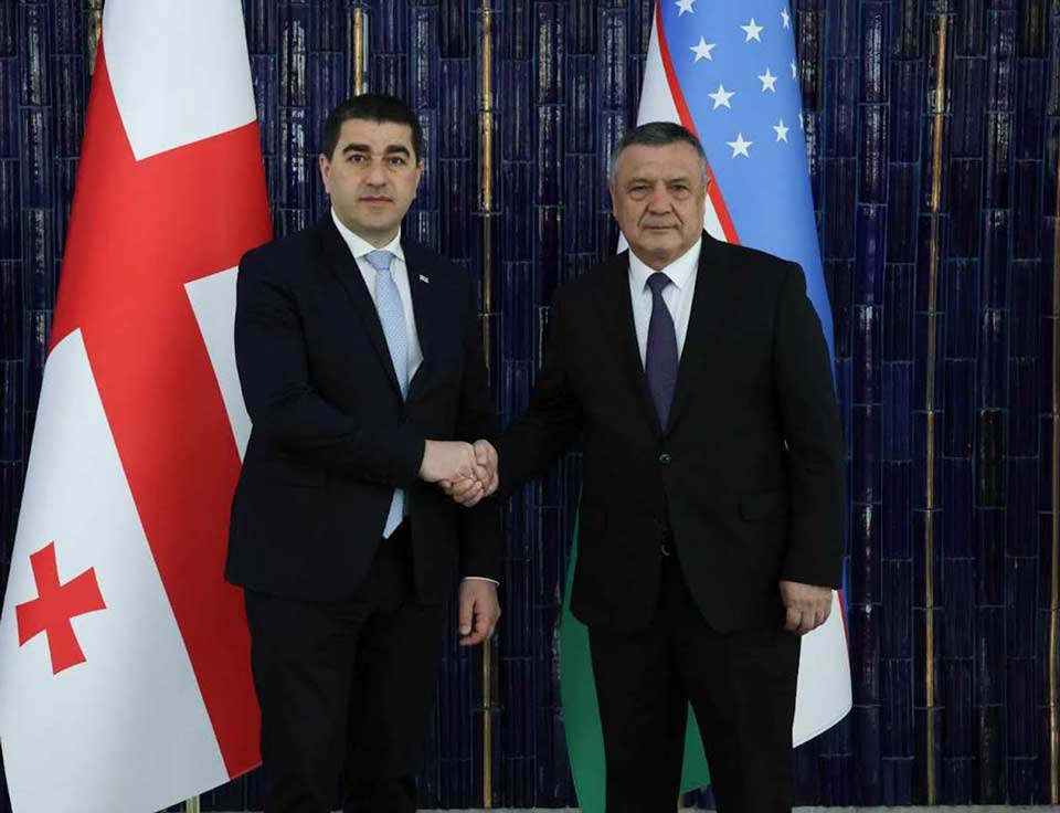 Georgian Parliament Speaker meets Uzbek counterpart