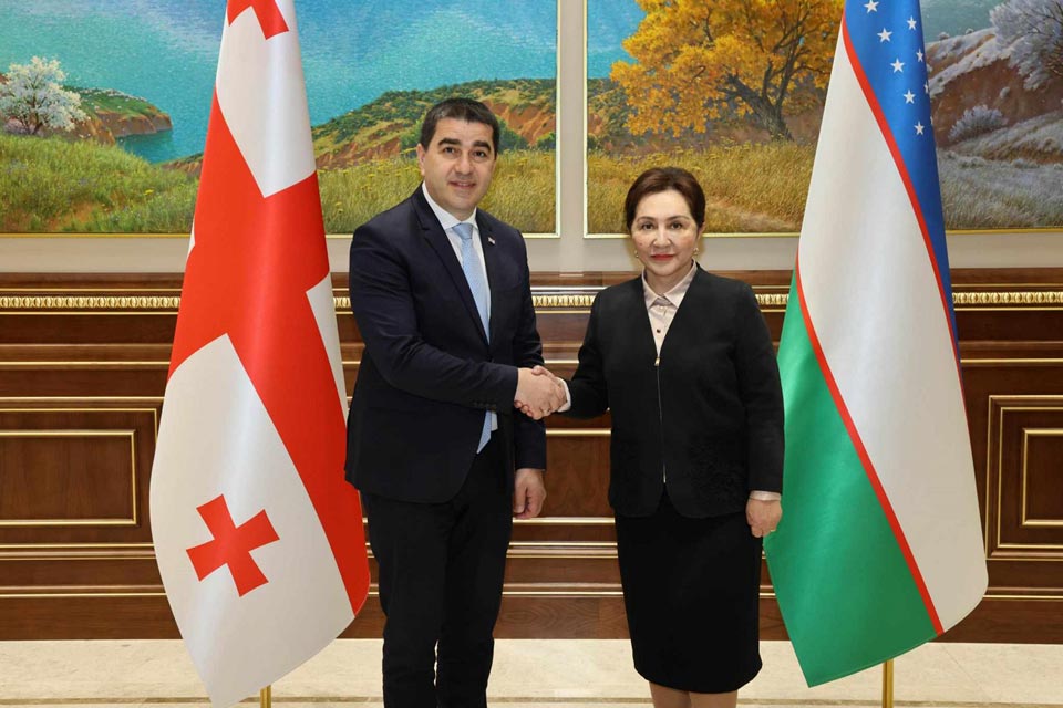 Шалва Папуашвили встретился с председателем Сената Республики Узбекистан