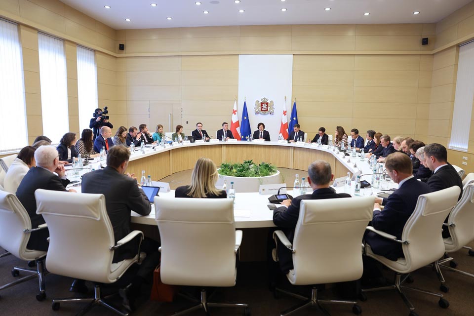 Georgian PM meets PSC delegation