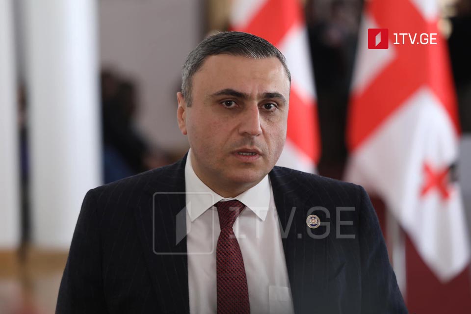 Давид Матикашвили - Не надо ничего отзывать, это европейское законодательство, которое касается только прозрачности, ничего больше