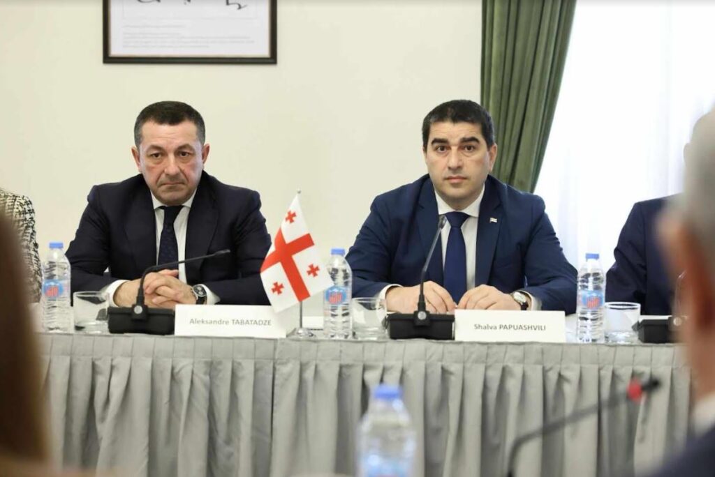 Шалва Папуашвили встретился с делегацией Турецкой Республики