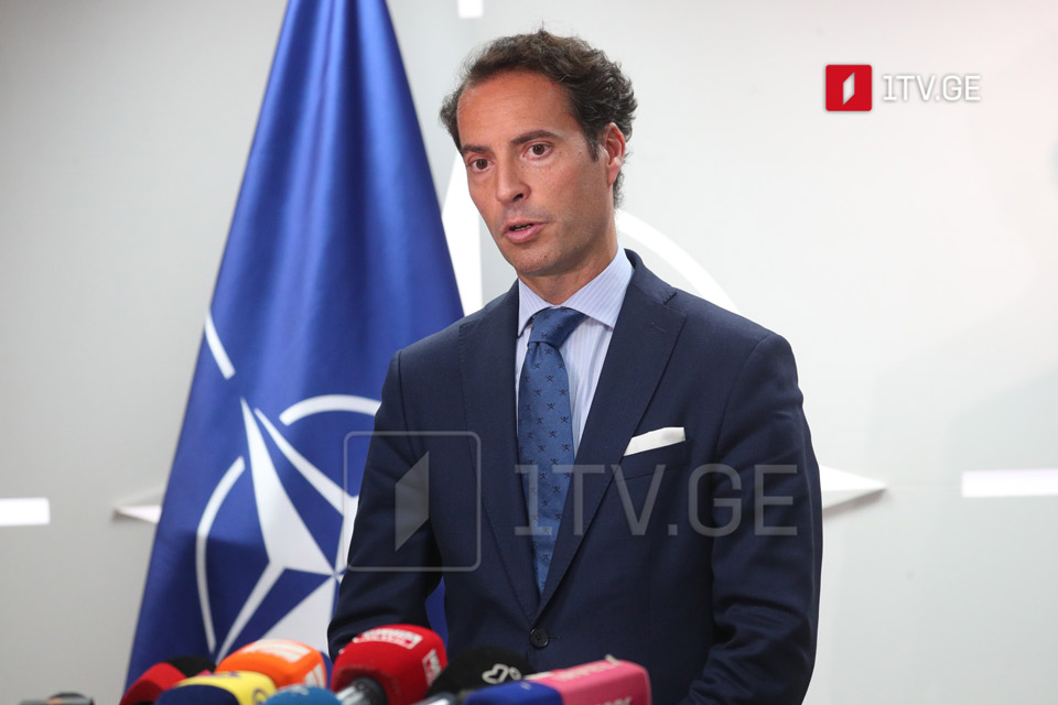 NATO Deputy Assistance Sec/Gen views Georgian transparency bill as step backward