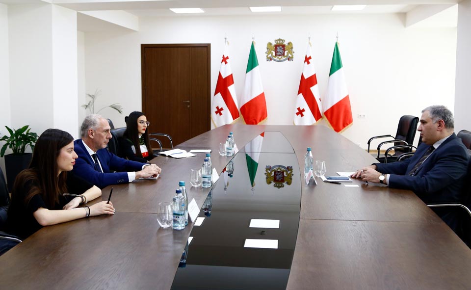 Михаил Сарджвеладзе встретился с послом Италии Массимилиано Д'Антуоно